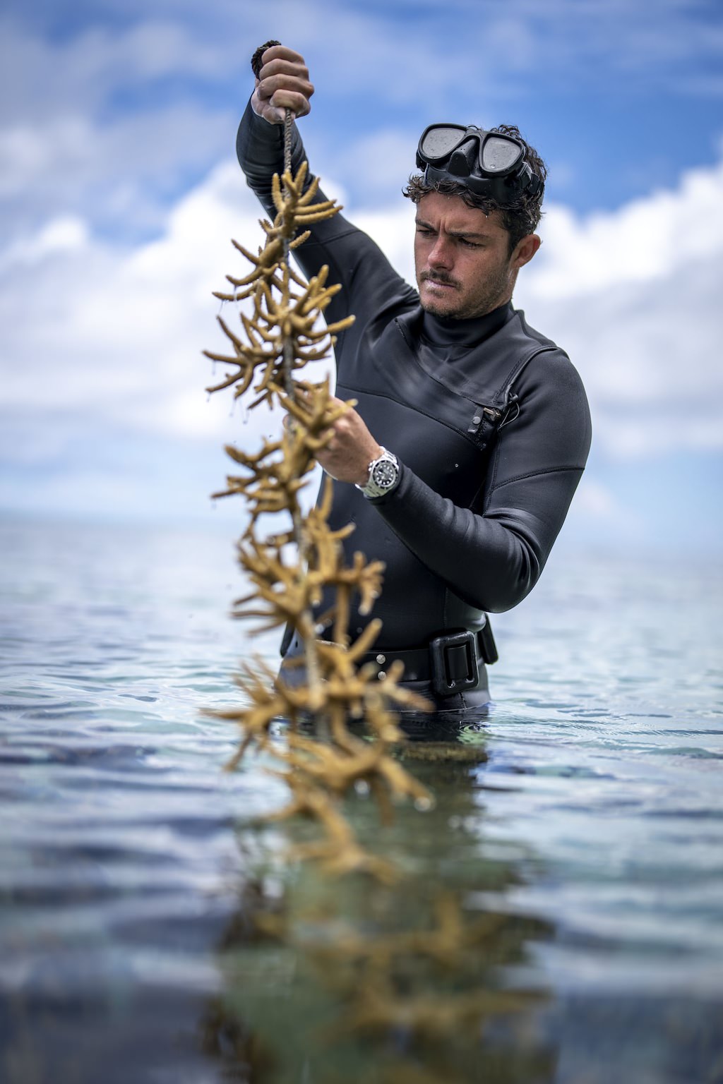 Titouan Bernicot, Gründer und Geschäftsführer von Coral Gardeners, kontrolliert die Korallen in einer Baumschule in Moorea, Französisch-Polynesien.
