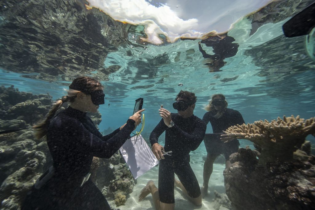 Konzentrierte Arbeit unter Wasser: Salomé Chauvelot, Impact Manager bei Coral Gardeners, fotografiert ein Korallenfragment, das Titouan Bernicot hochhält, während Taiano Teiho genau aufzeichnet, woher das Fragment stammt.