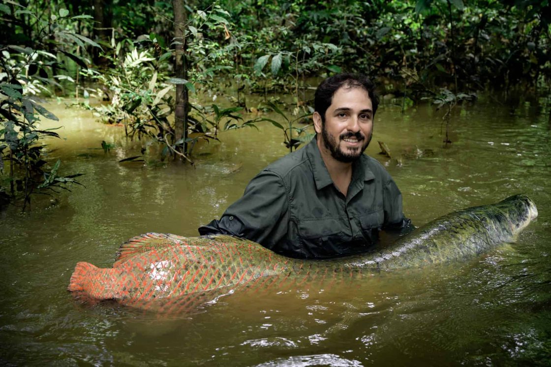 João Campos-Silva steht im Amazonas und hat einen Arapaima, den größten geschuppten Süßwasserfisch der Welt in seinen Armen.