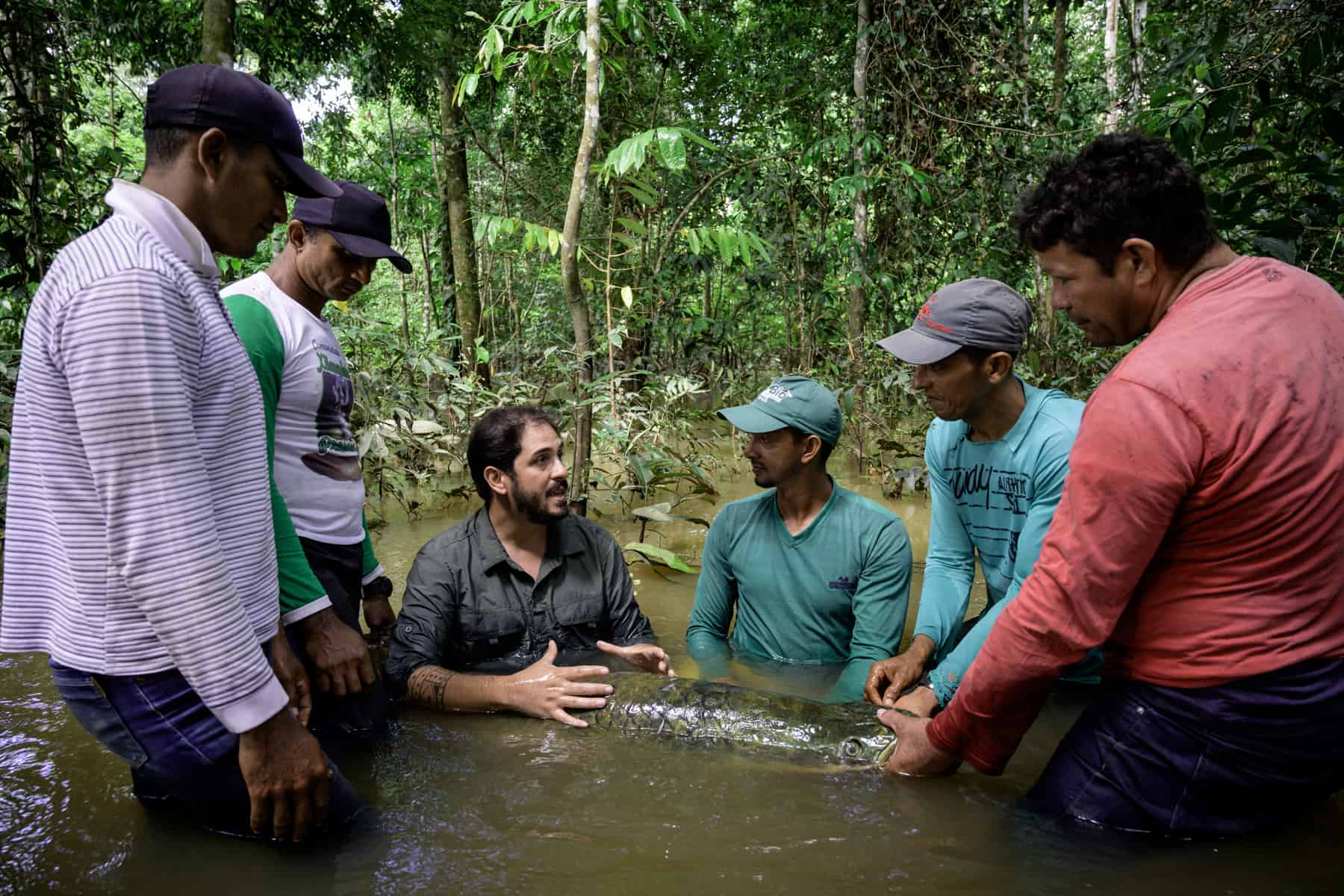 Die Dorfgemeinschaften hängen stark vom Überleben des Arapaima ab. Die Erforschung des Fisches durch den Biologen João Campos-Silva ist für sie von vitaler Bedeutung.