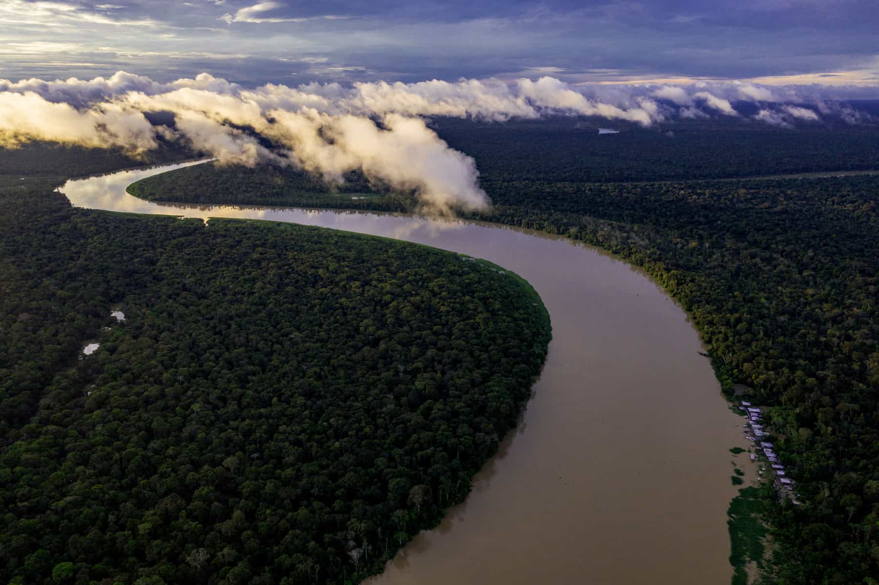 Das Dorf Uacari im West-Amazonas-Gebiet ist bis auf wenige Hütten am Ufer komplett vom Regenwald überdeckt. Von hier aus startet der Biologe und Naturschützer João Campos-Silva zu seinen Expeditionen, um den Arapaima, den größten Süßwasserfisch der Erde, vor dem Aussterben zu bewahren.