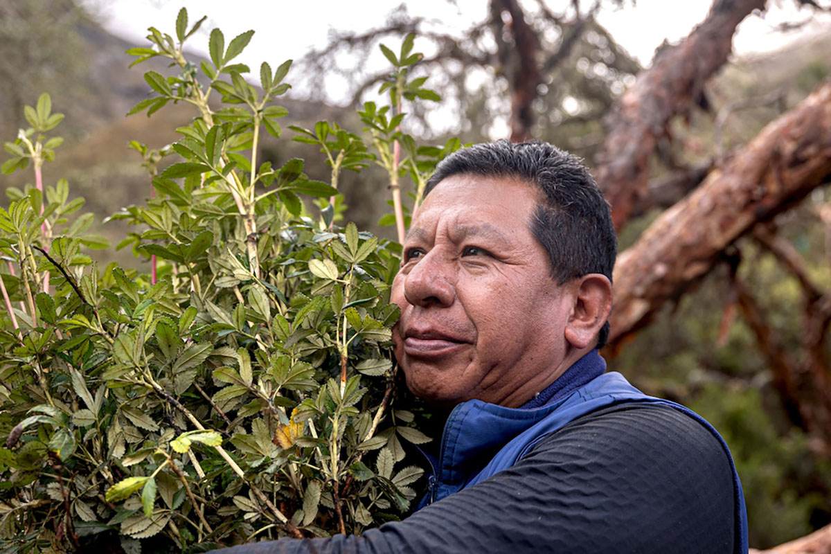 Der Biologe Constantino Aucca Chutas wird sein gemeinschaftsorientiertes Programm zur Renaturierung und zum Schutz des Wald-Ökosystems in den Hochanden ausweiten.