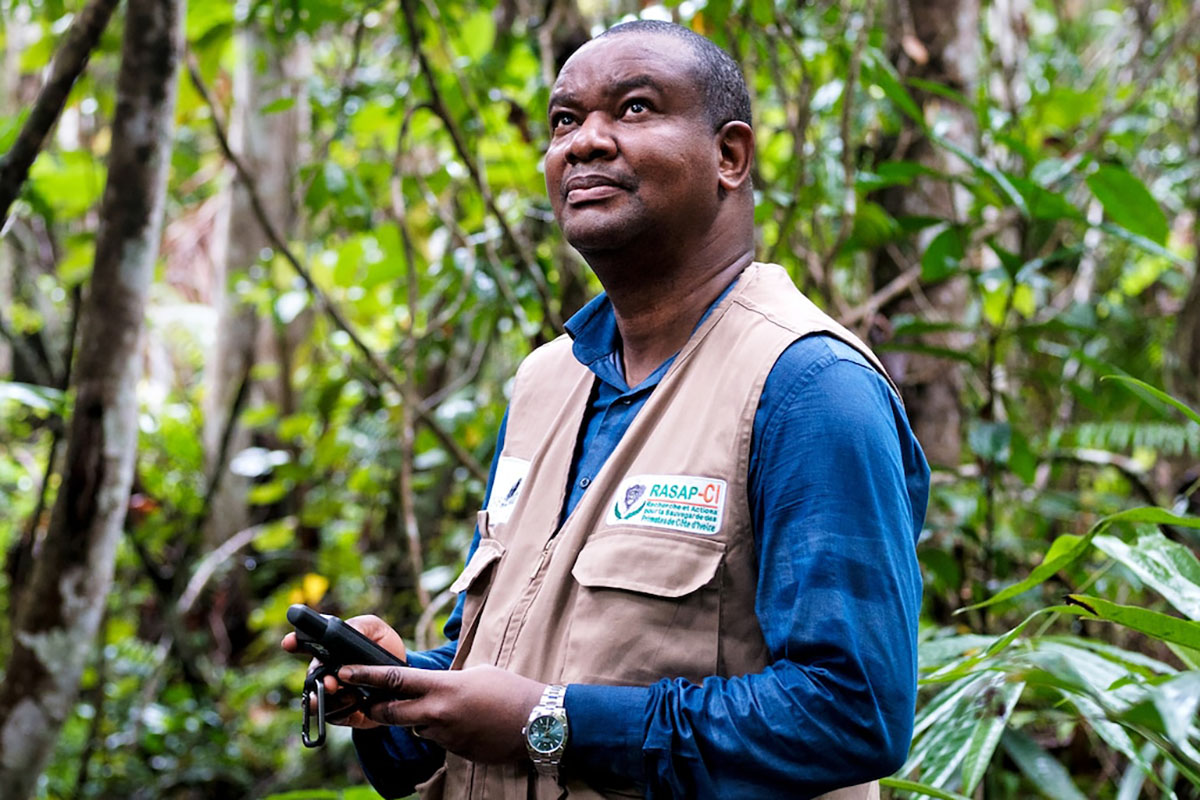 Der Primatologe Inza Koné wird einen überaus artenreichen Wald in Côte d’Ivoire schützen und gleichzeitig seine bedrohte Tierwelt bewahren und die Armut in der Region verringern.