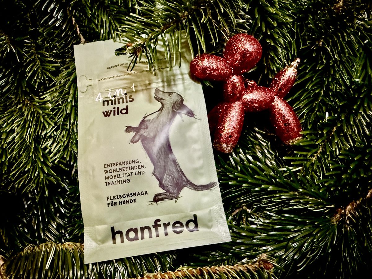 Eine Packung Hanfred-Hundesnacks liegt auf Tannenzweigen, daneben hängt ein rotes, hundeförmiges Weihnachtsornament.