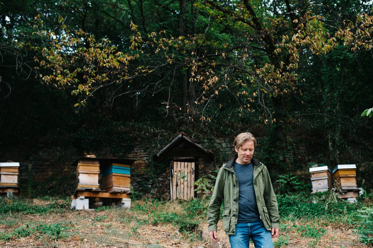 Bienenstöcke am Rand eines Weinbergs in der Pfalz, im Vordergrund Michael Andres