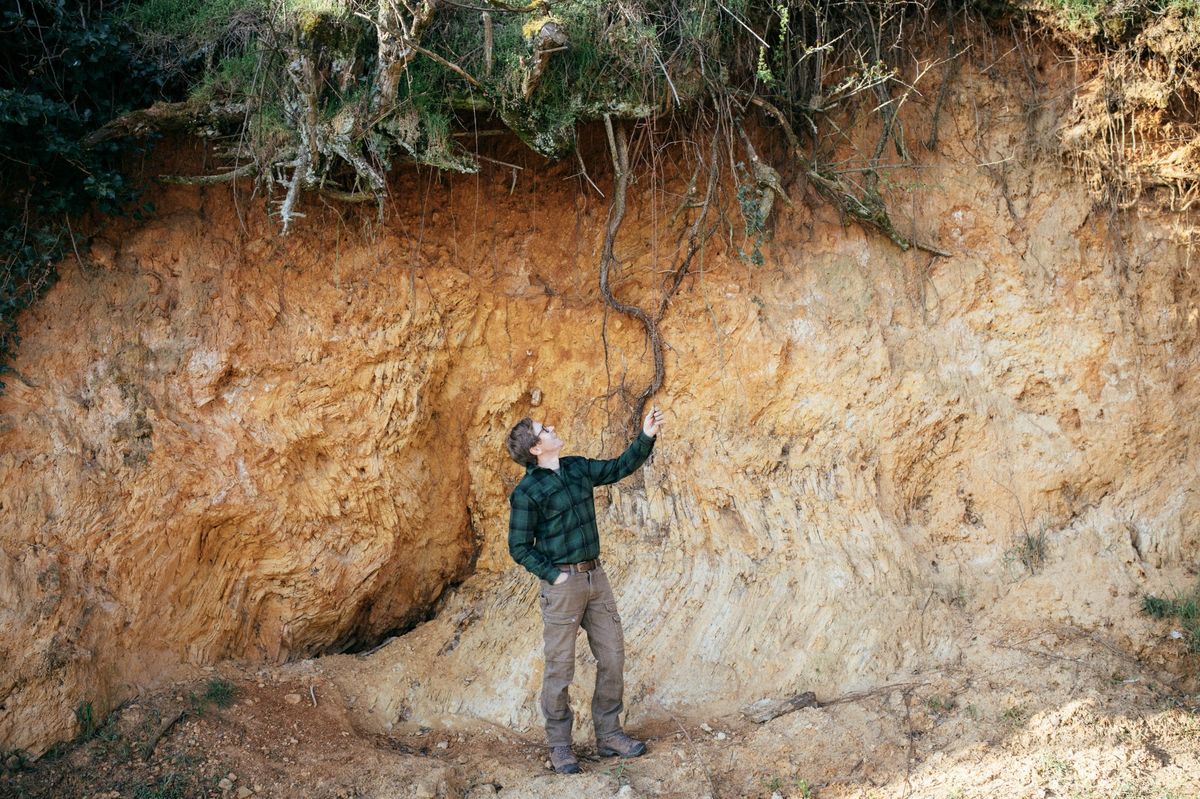 Michael Andres steht vor einer freigelegten Erdwand und betrachtet die Wurzeln einer Rebe in der Mäushöhle bei Deidesheim.