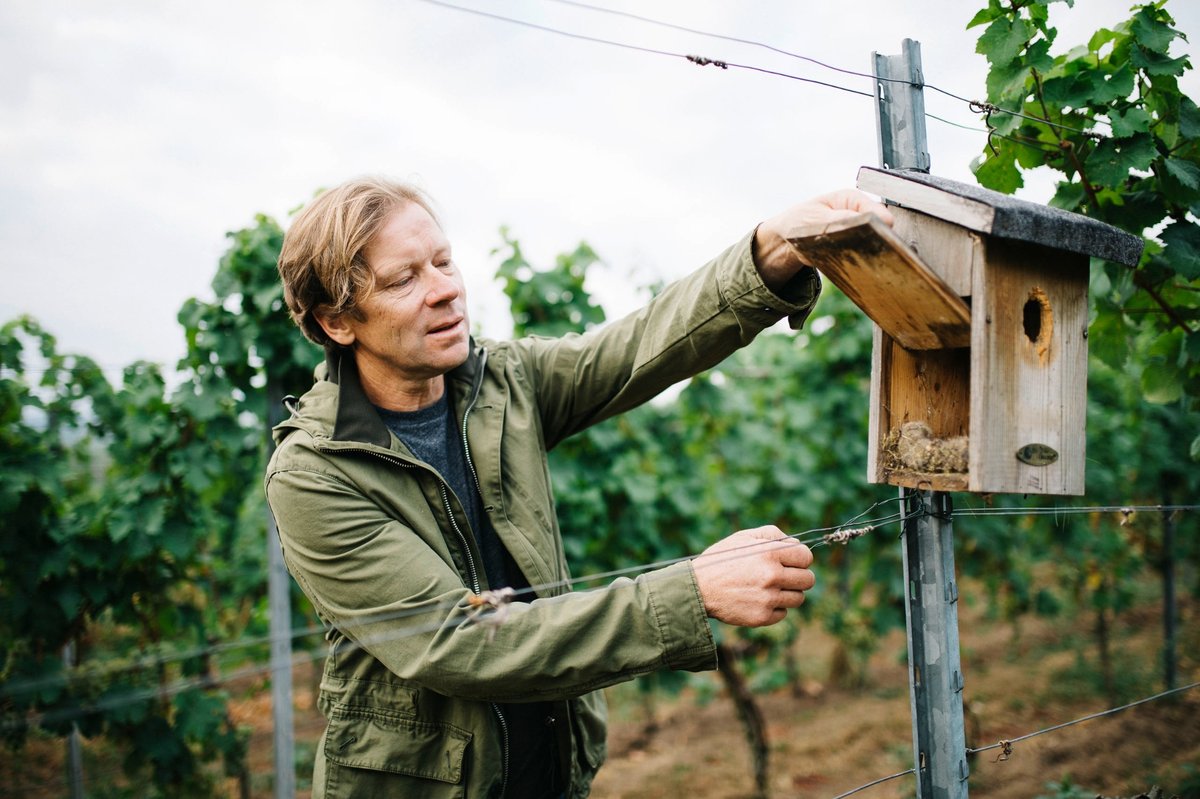 Michael Andres befestigt einen Nistkasten an einem Pfahl im Weinberg.