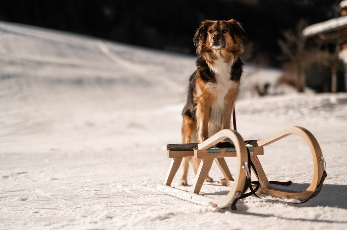 Zimmer der Wallerei am Walchensee mit Bett und Sitzbereich