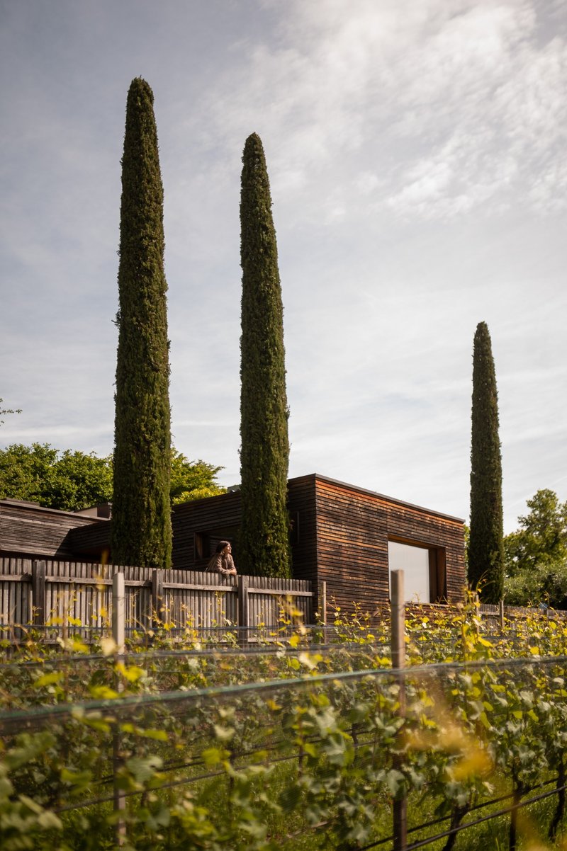 Lodges und Zypressen im Garten des Stroblhofs in Eppan zwischen Weinbergen