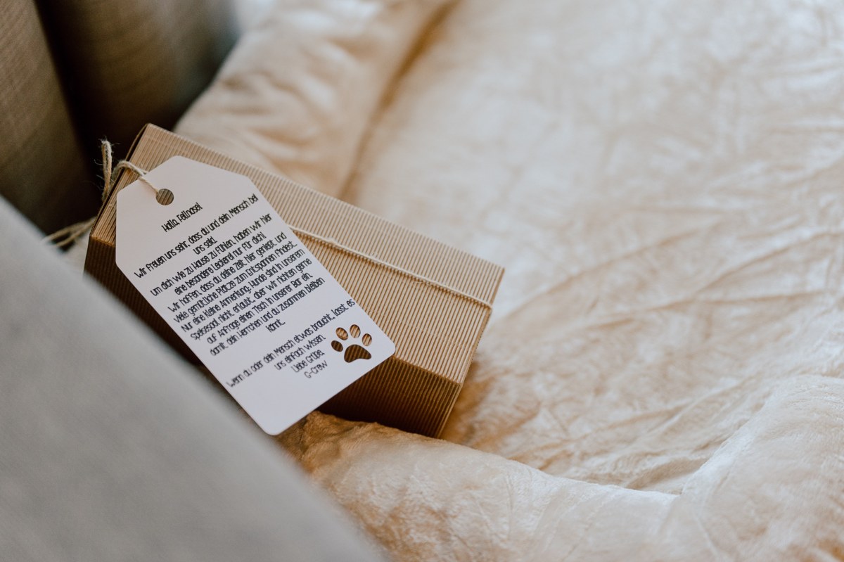 substantial-times-garberhof-02 Willkommensgeschenk für Hunde auf einem Bett im Garberhof in Südtirol