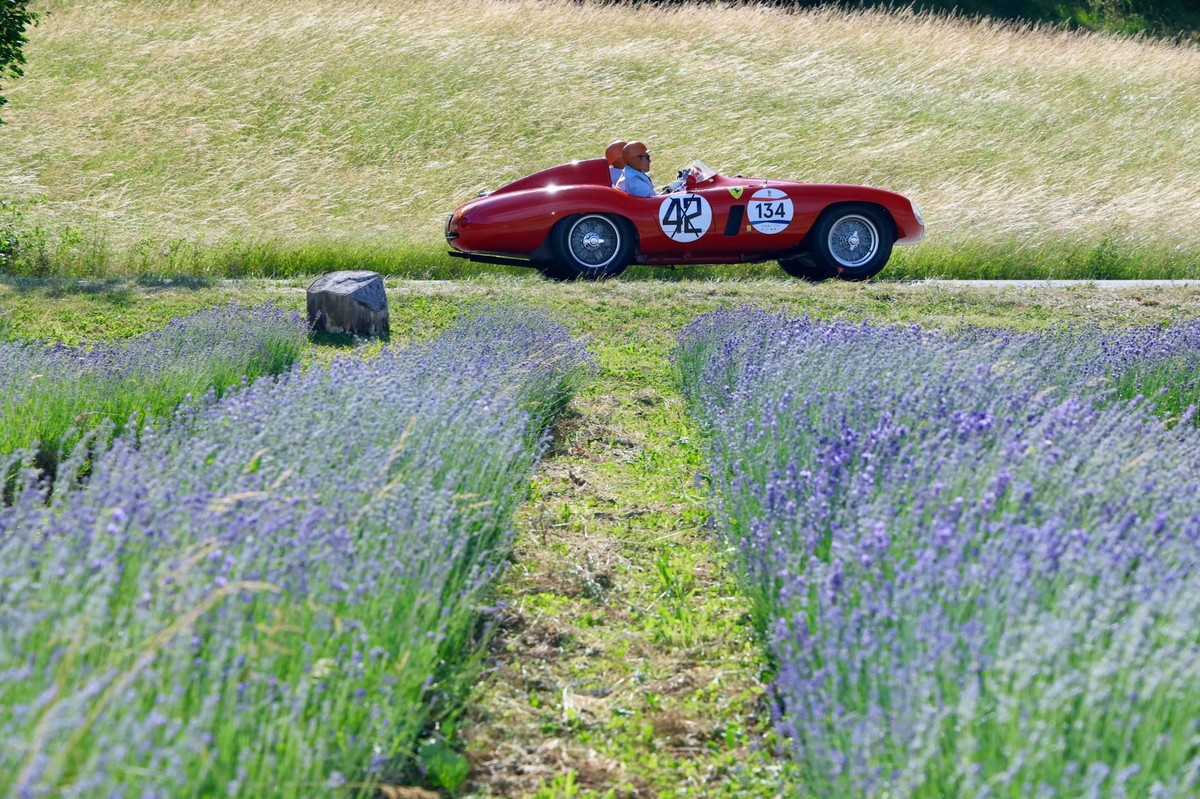 Historischer roter Rennwagen der Mille Miglia fährt an einem Lavendelfeld in Italien vorbei