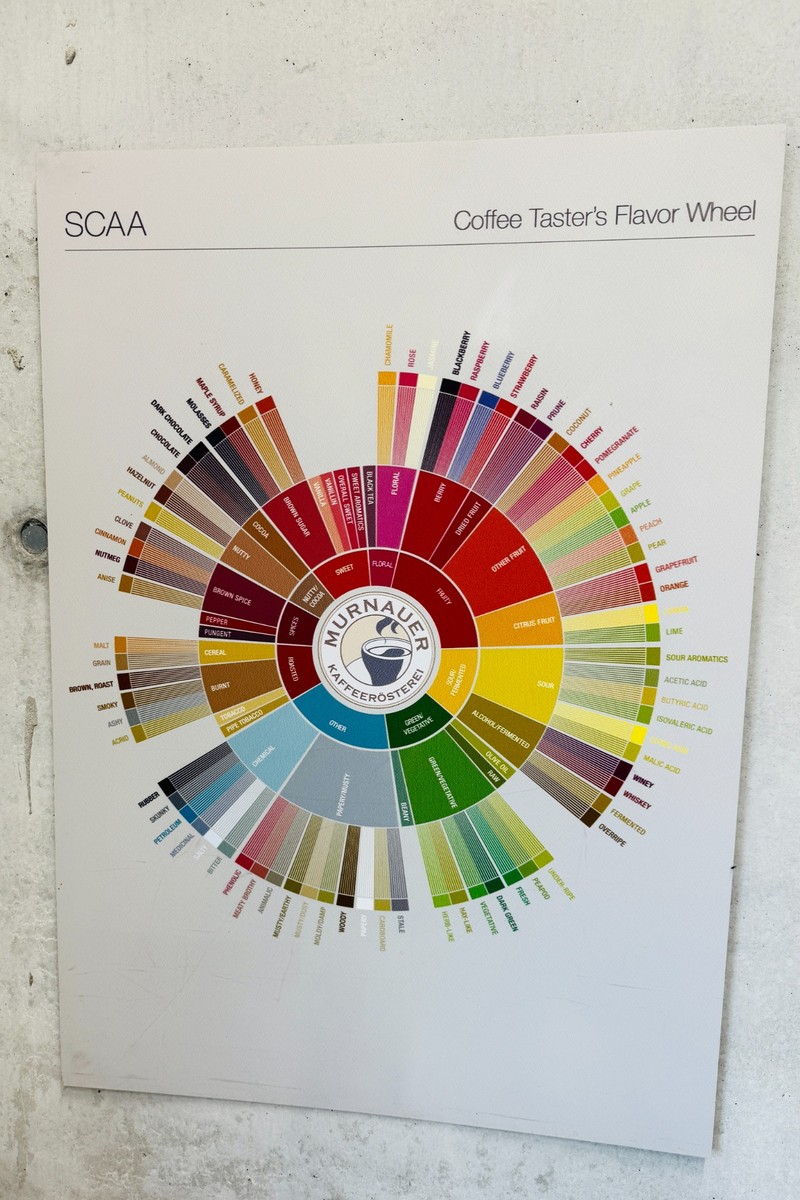 Coffee Taster's Flavor Wheel (Deutsch: Aromenrad) in der Murnauer Kaffeerösterei